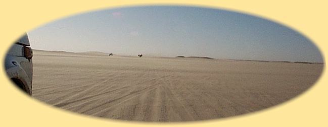 Sahara Desert